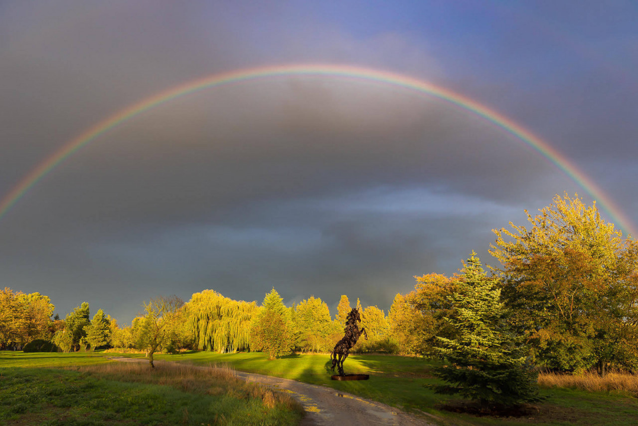 Rainbow over Muscovado at Gladwell Patterson’s Mr Molecey’s Marvellous Mill