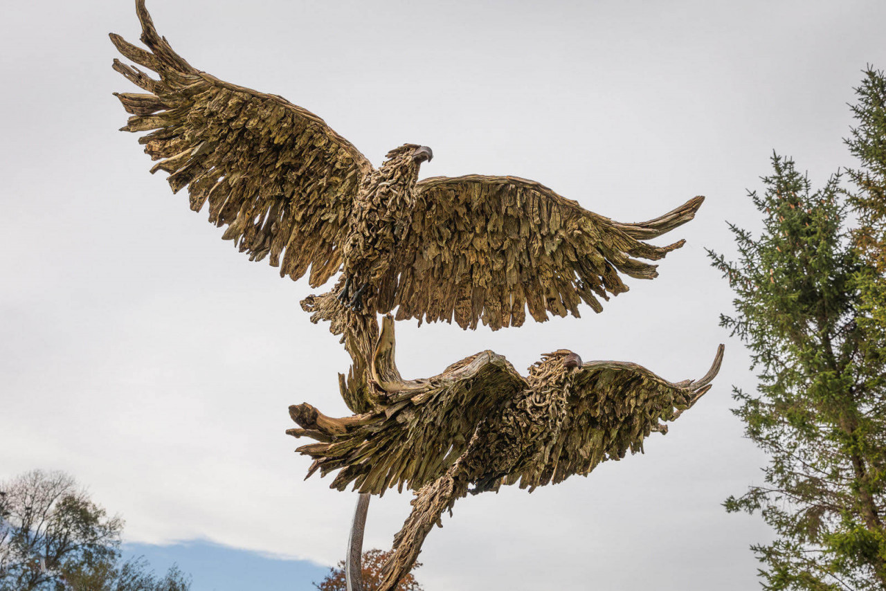 Les Stringer’s shot of the Red Kites