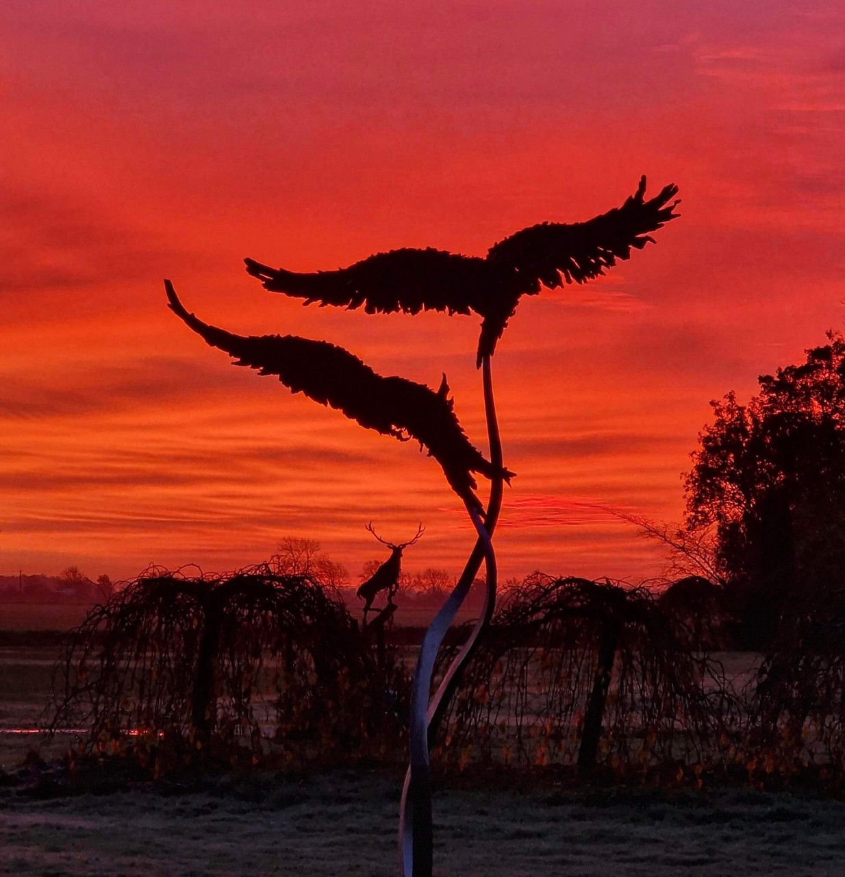 My Red Kites in front of a magnificent Lincolnshire skyscape