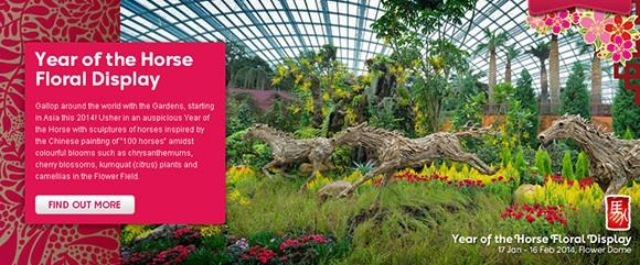 The Thoroughbreds of Gardens by the Bay
