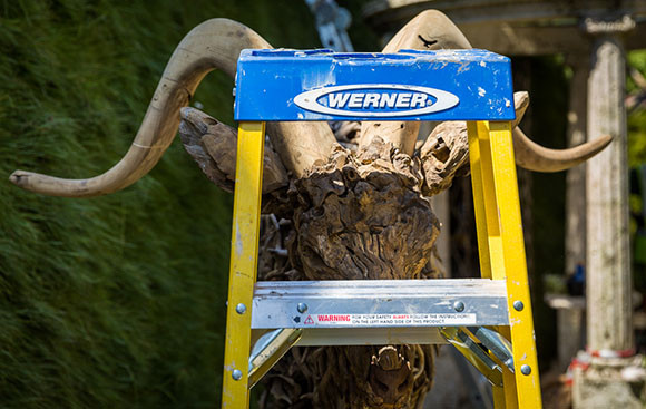 Roulette hiding behind the werner stepladder