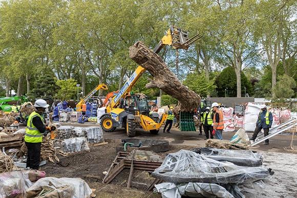 The subterranean base of the Tree of Life is in place and the Tree of Life main structure is being winched into place.