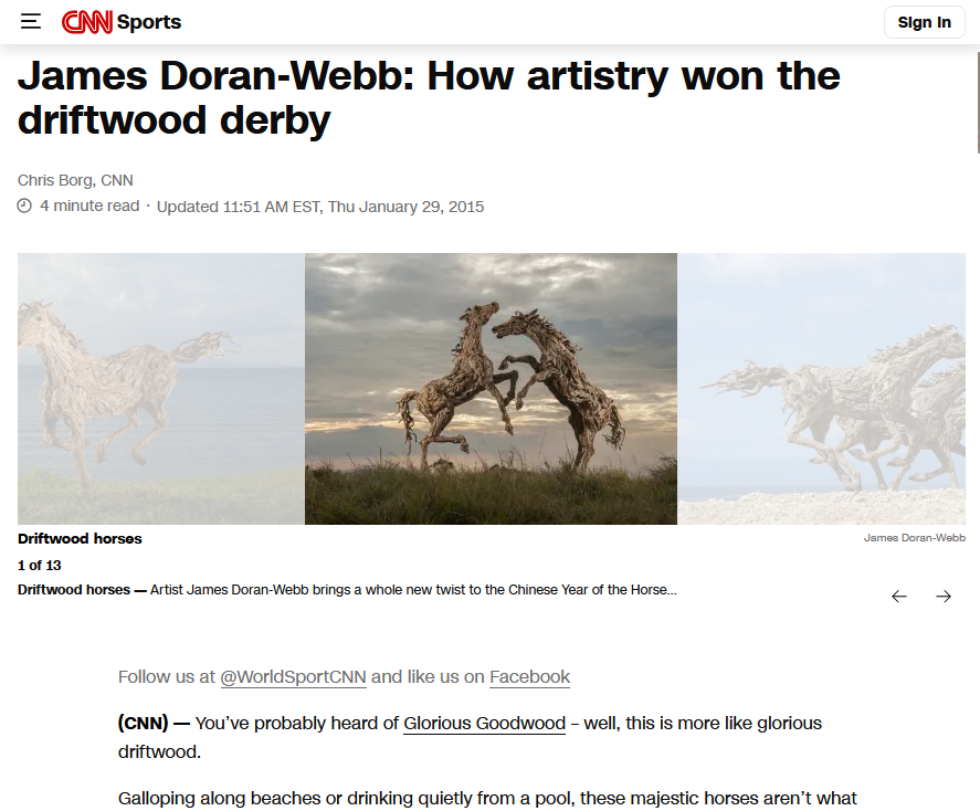 CNN Article December 2014