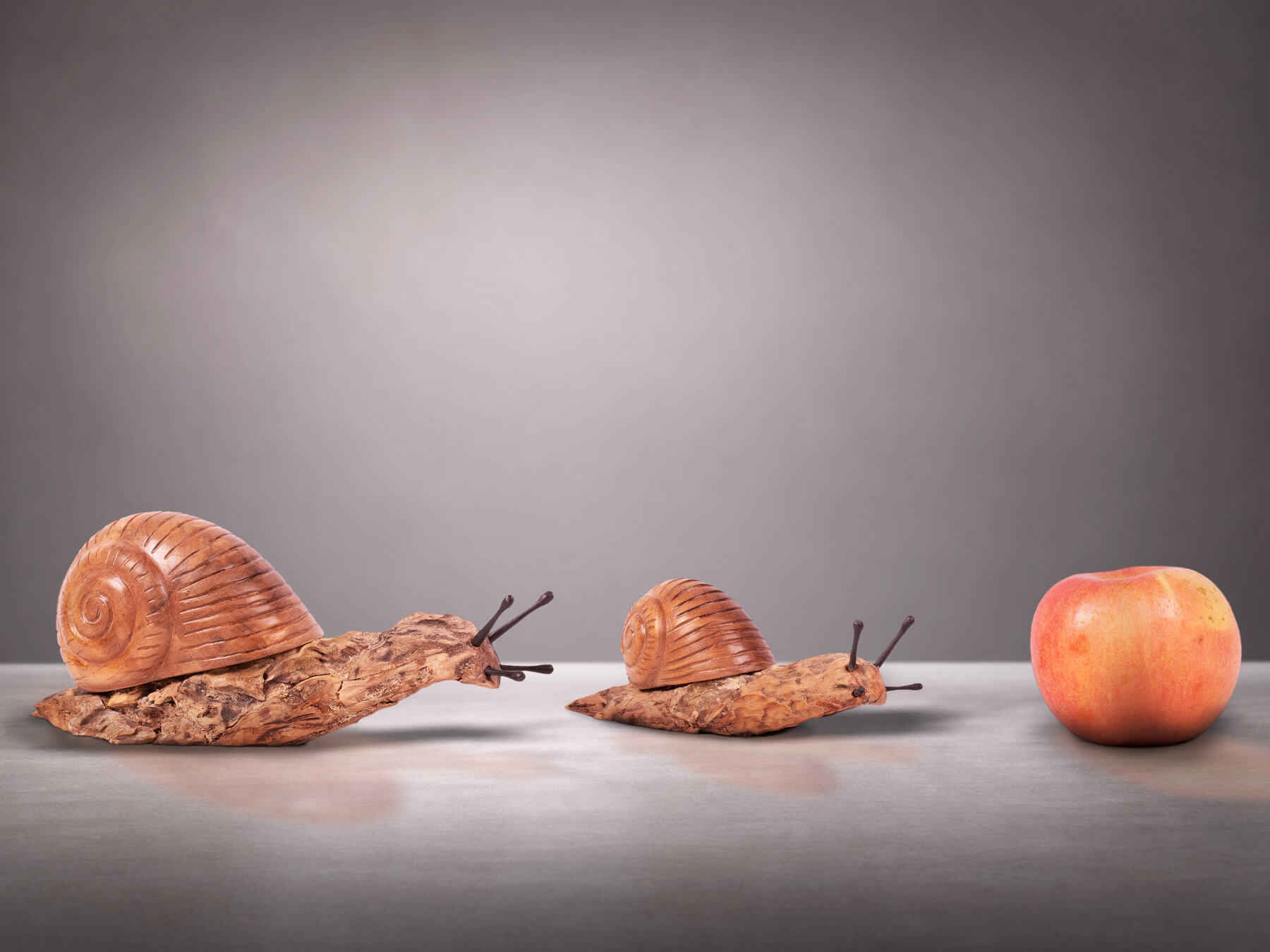 Large Magnet Snail and Small Magnet Snail – driftwood snail sculptures by James Doran-Webb