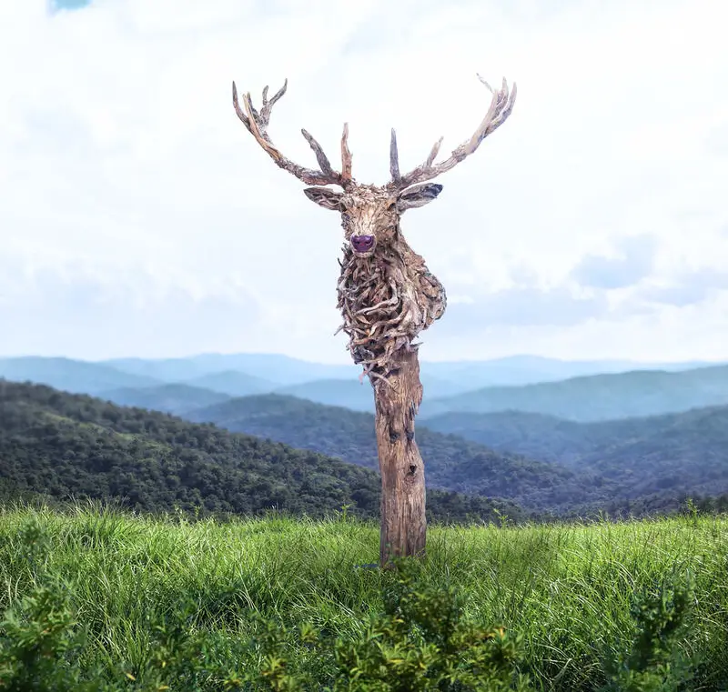 The Bust of Elk – driftwood sculpture by James Doran-Webb