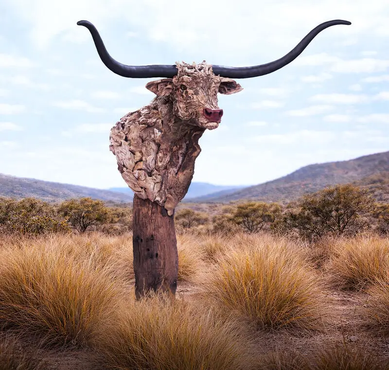 The Bust of Longhorn – driftwood sculpture by James Doran-Webb