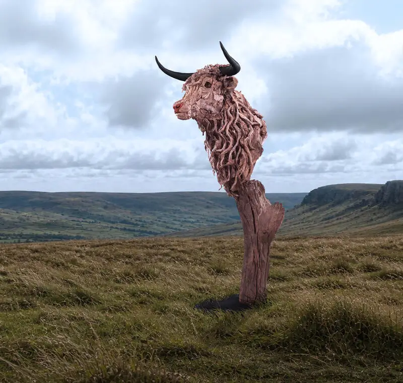 The Bust of the Highland Bull – driftwood sculpture by James Doran-Webb