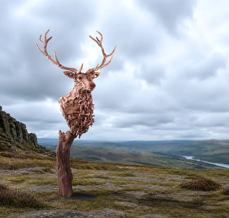 The Last Sovereign – driftwood sculpture by James Doran-Webb