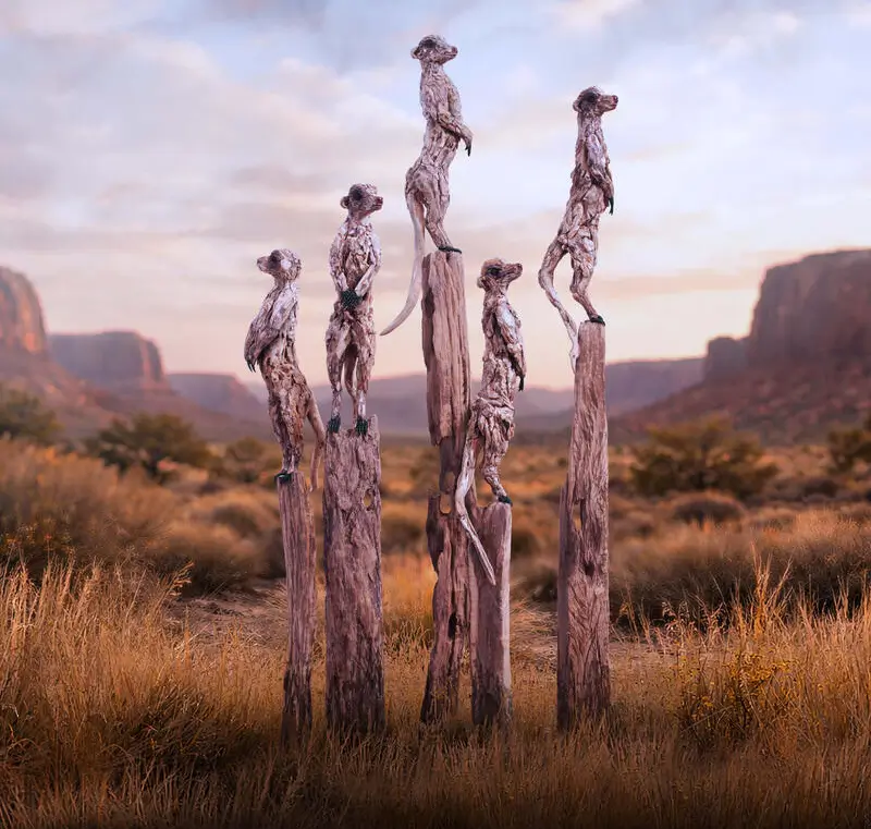 Look Out – driftwood sculpture by James Doran-Webb