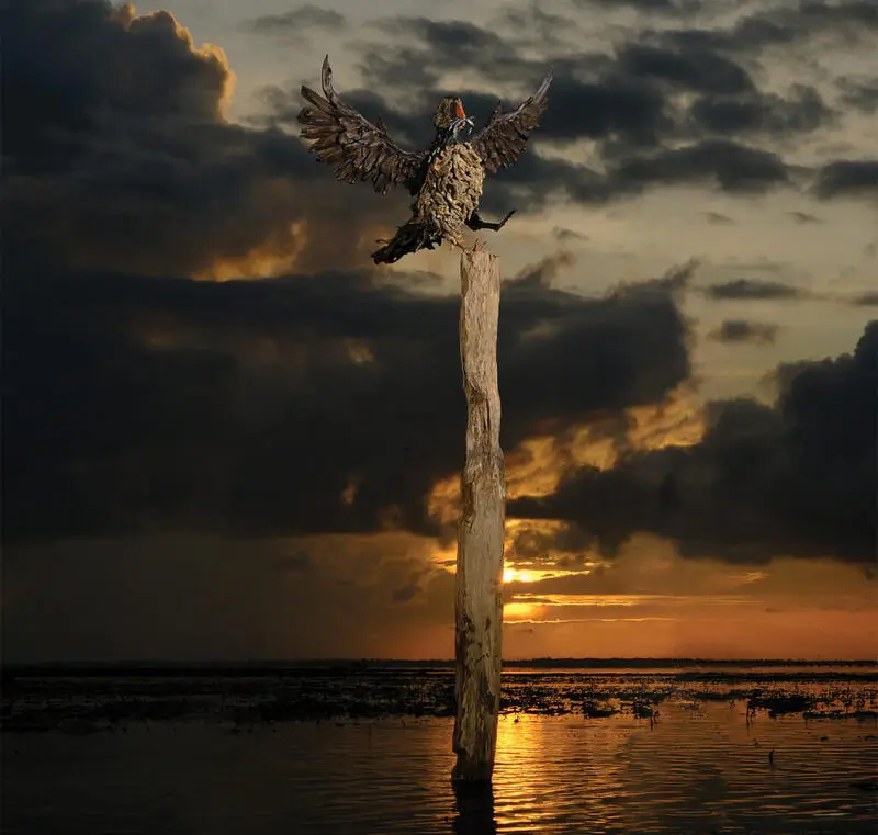 The Puffin's Landing – driftwood sculpture by James Doran-Webb