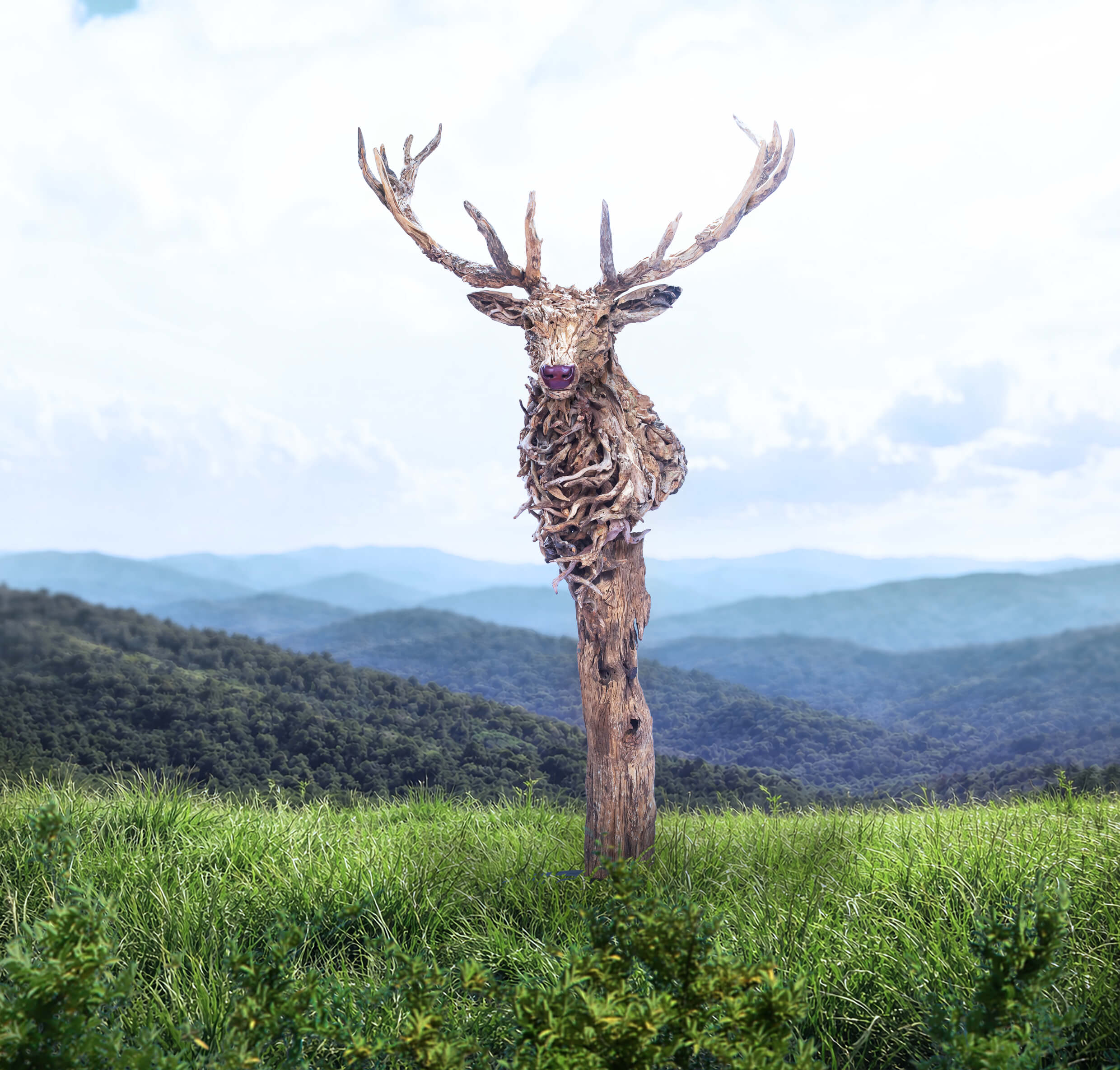 The Bust of Elk – driftwood elk sculpture by James Doran-Webb