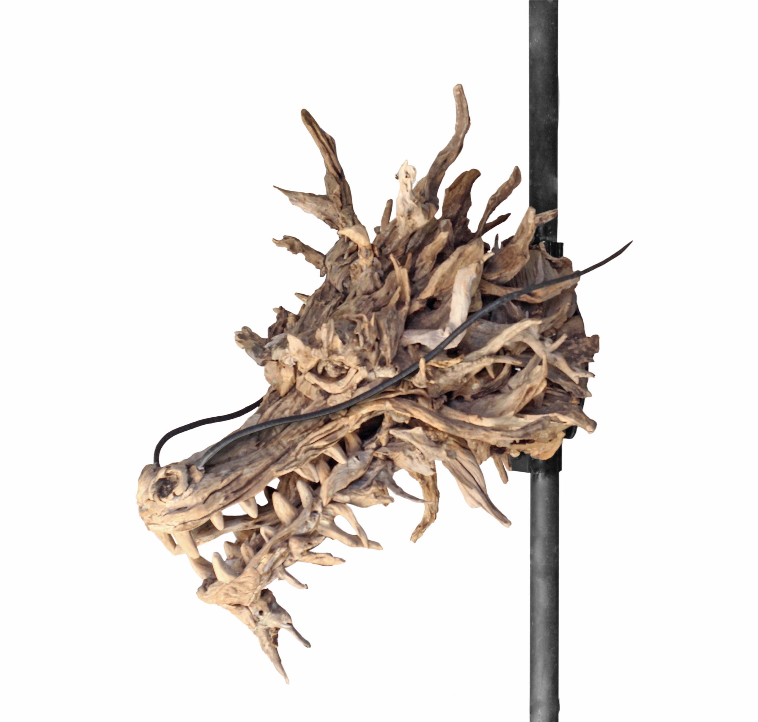 The Head of the Bearer