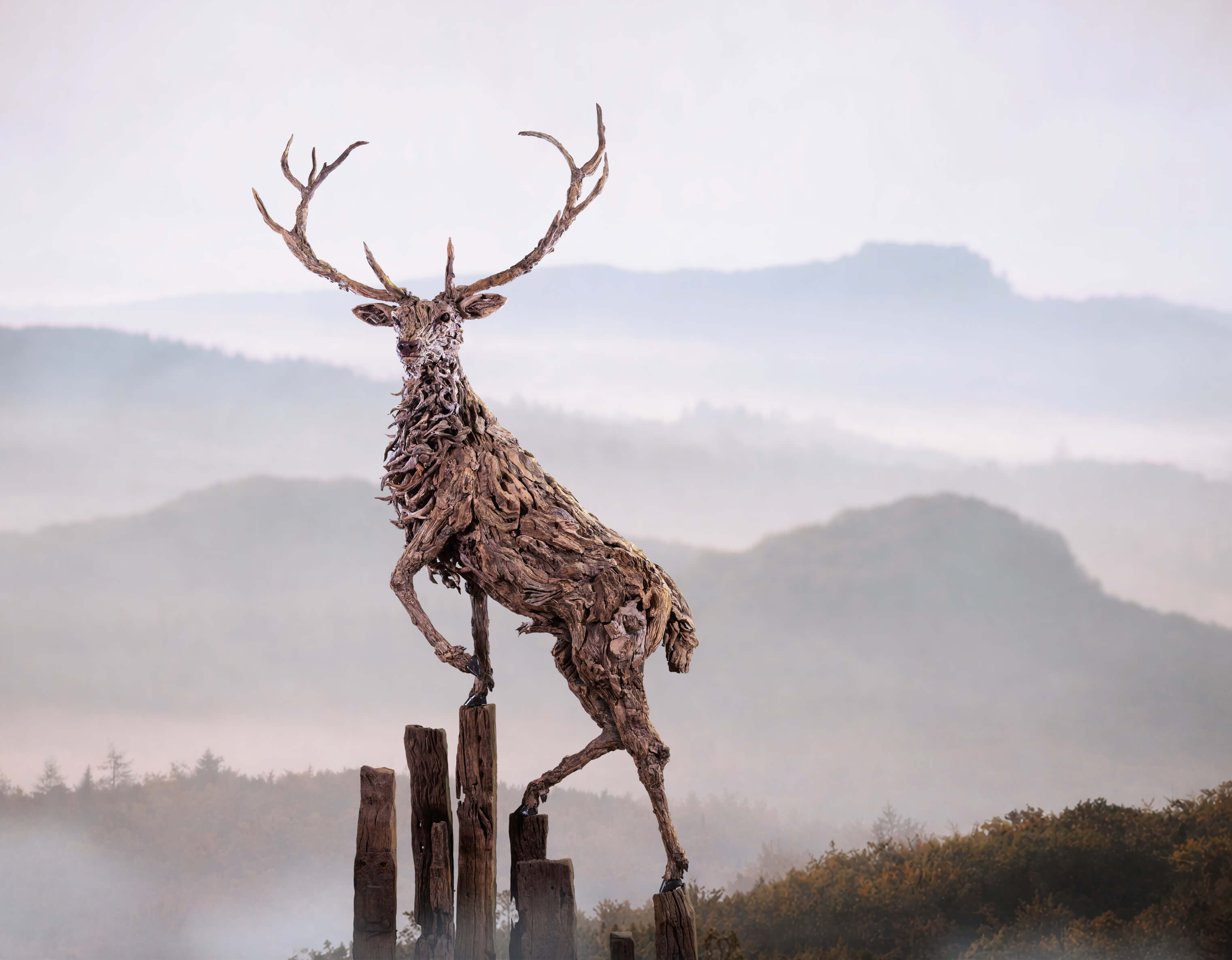 The Edge of the Glade – driftwood stag sculpture by James Doran-Webb