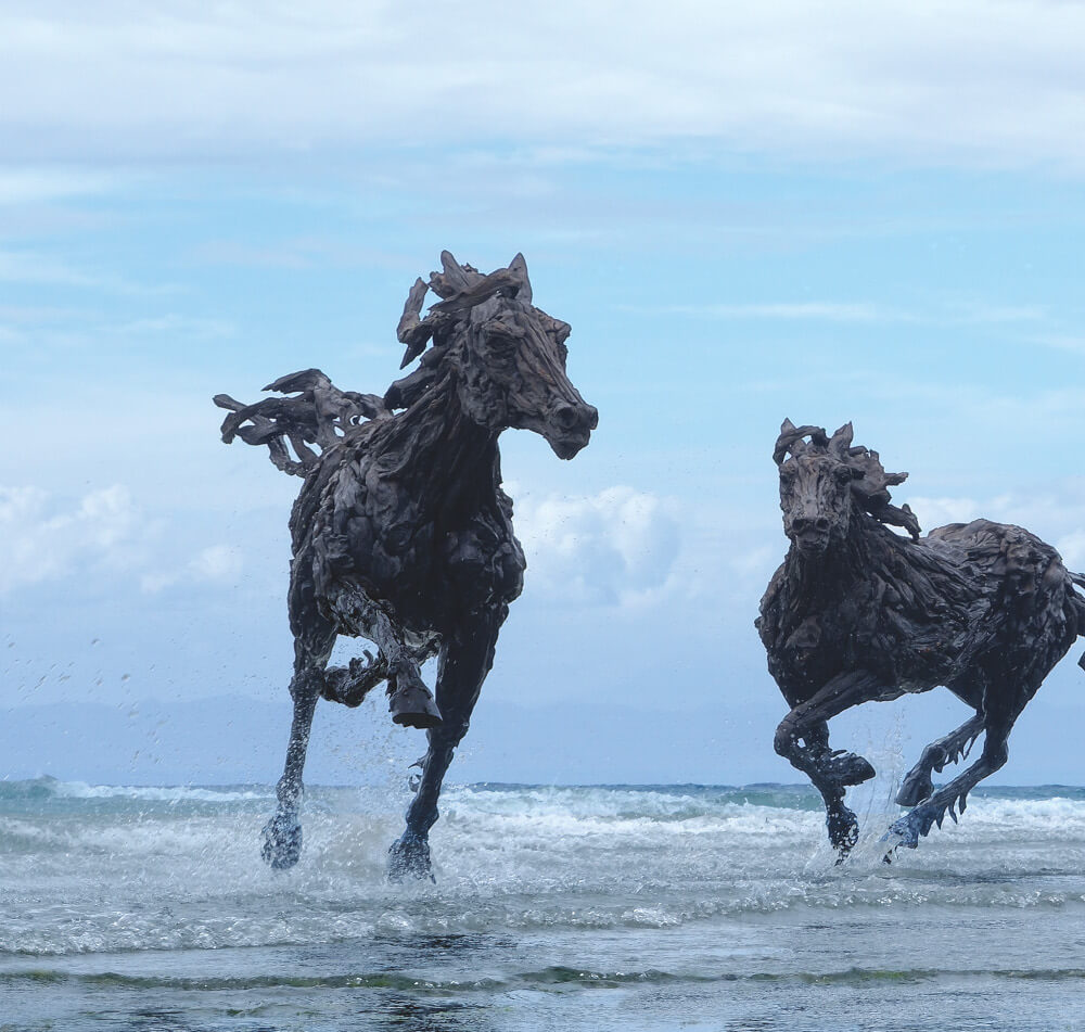 The Gallop
