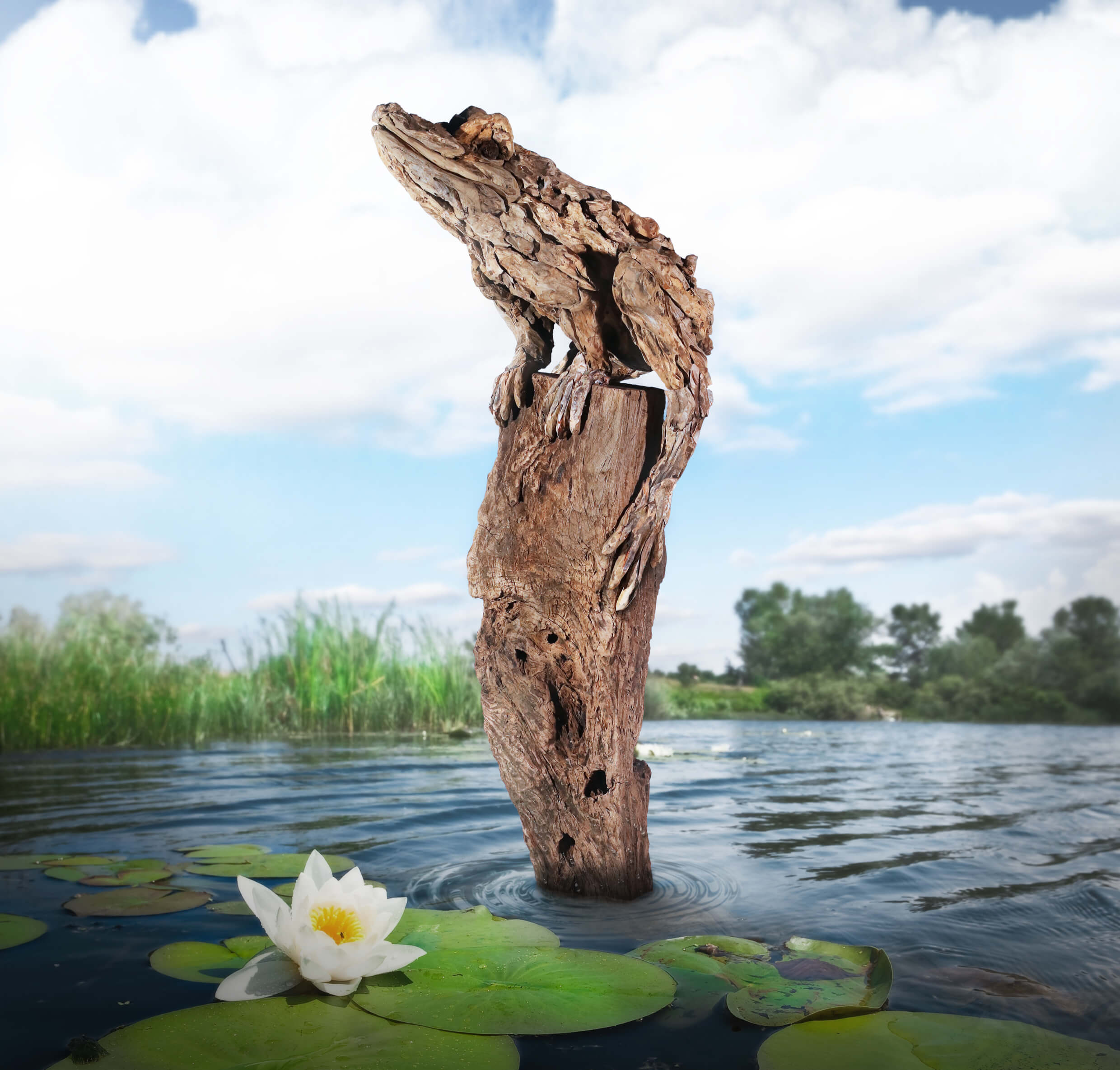 The Monarch of the Marsh