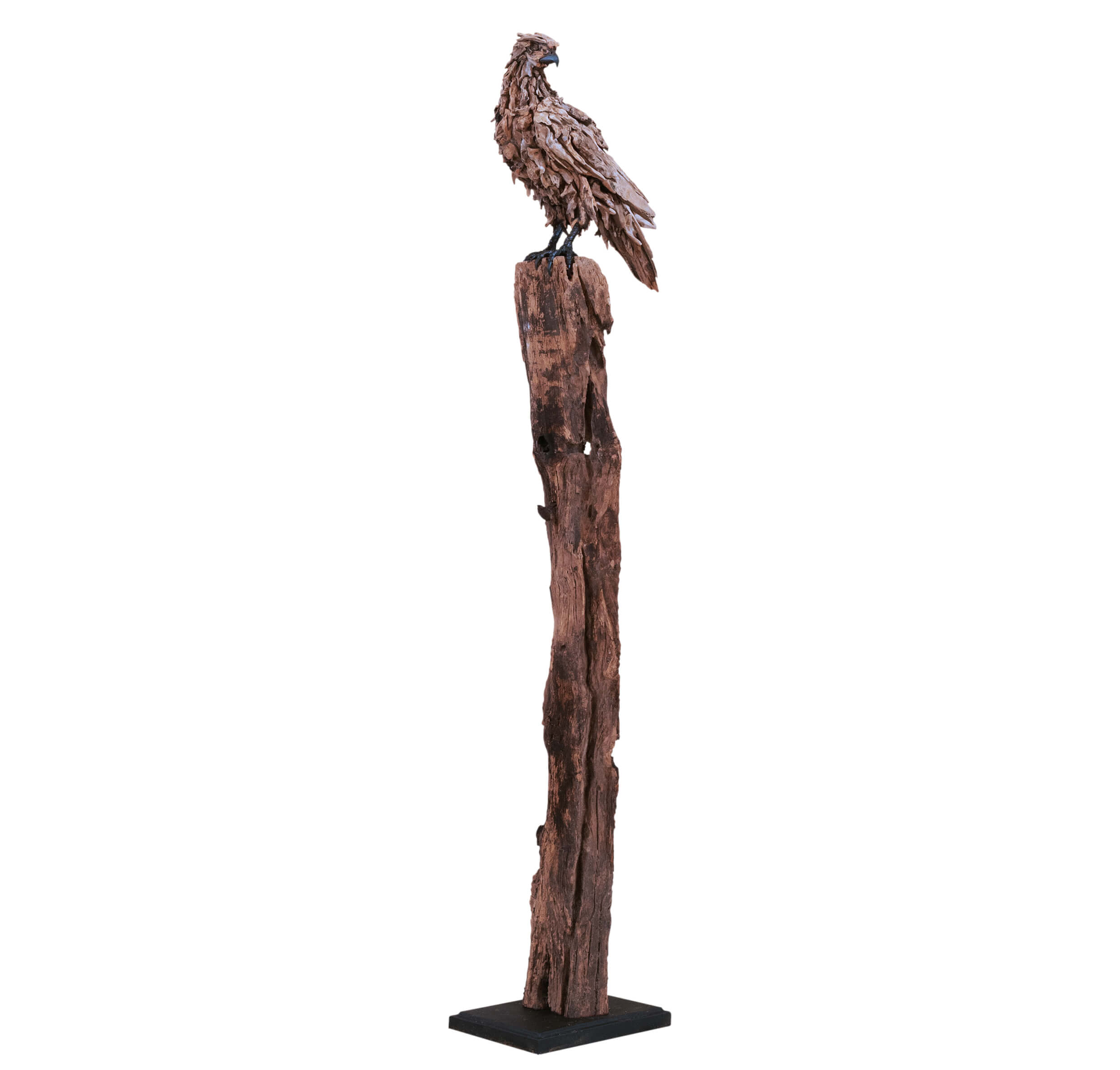 The Peregrine's Watch