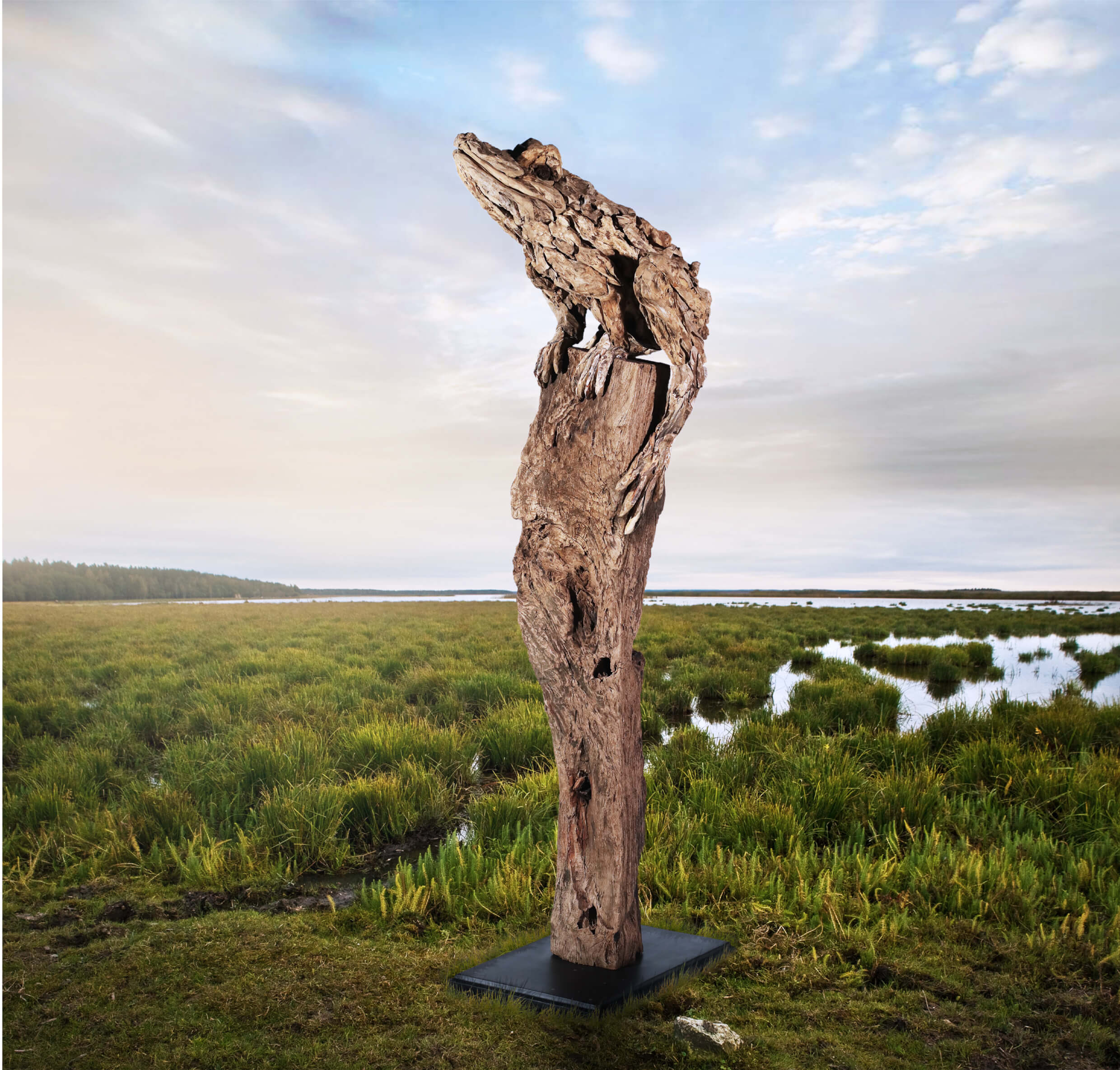 The Prince of the Marsh Land