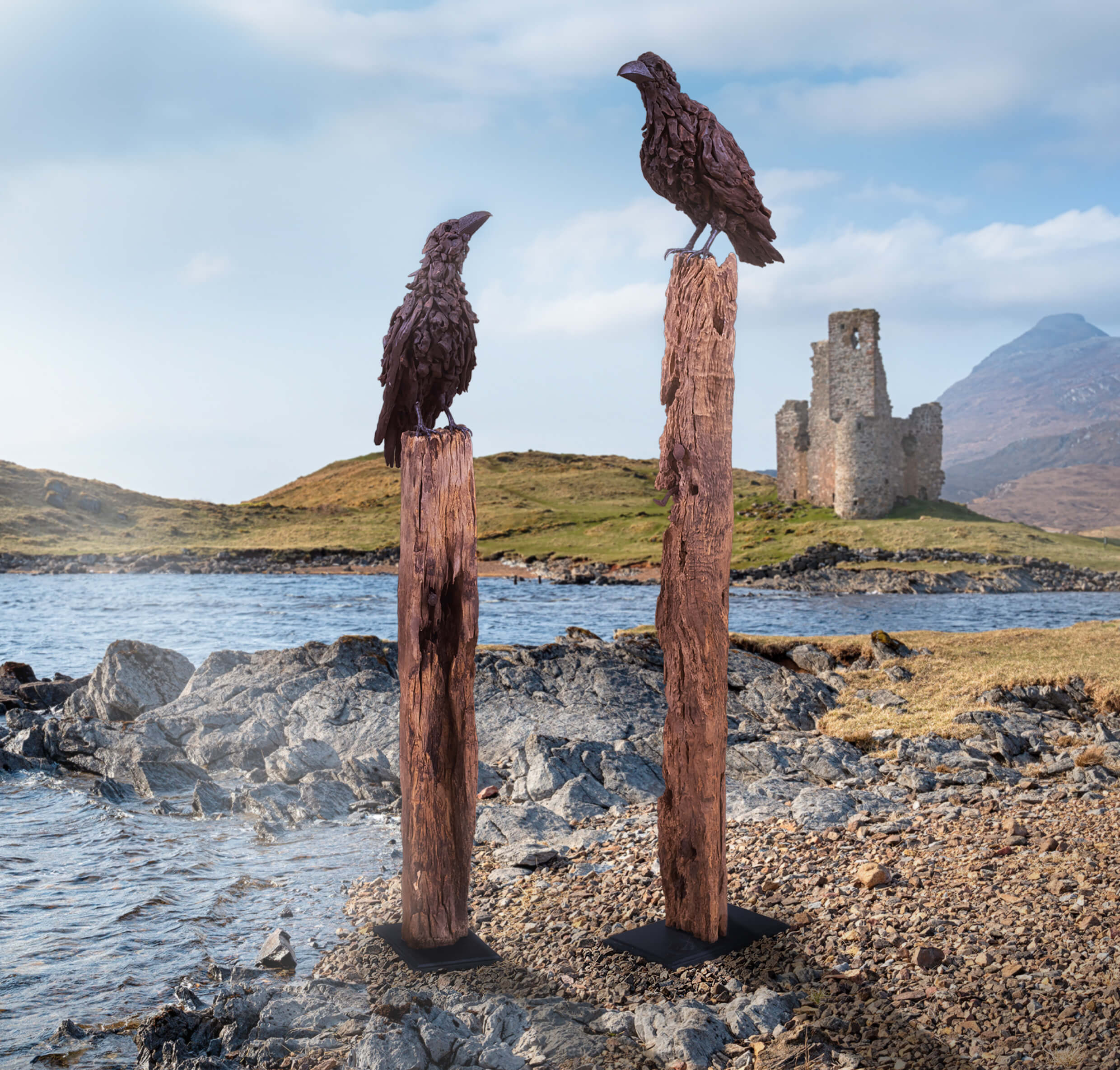 The Ravens