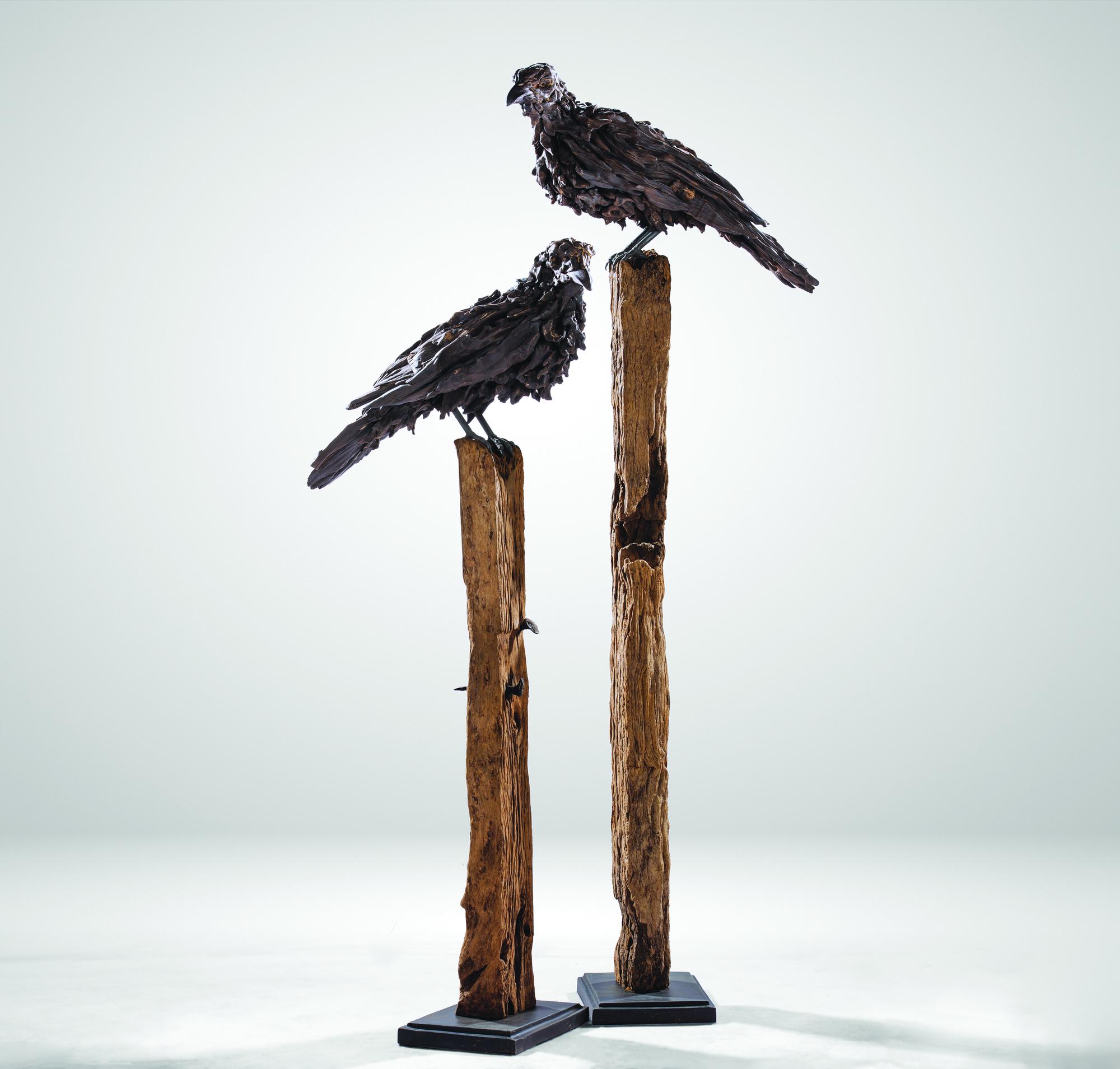 The Ravens