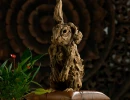 21 bolster bunny