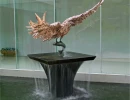 Catch and Release