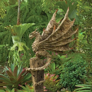 draco the wyvern