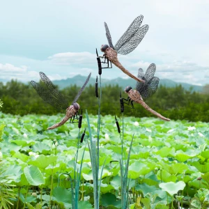 Dragonfly on the Bulrushes