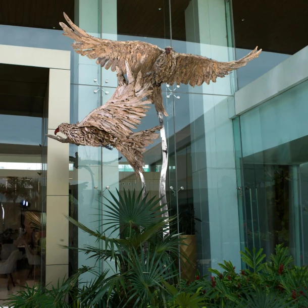 red kite birds 3 and