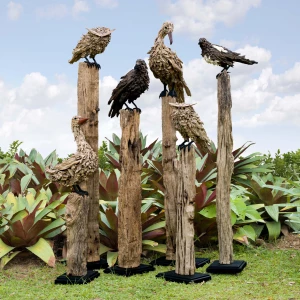 the birds the birds