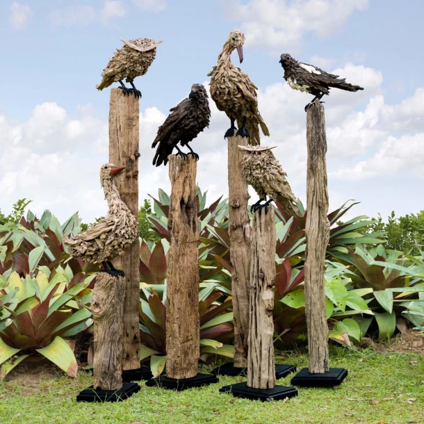 the birds