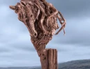 The Bust of Pegasus