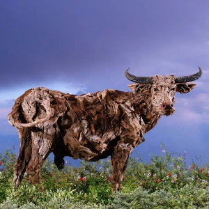 The Carabao