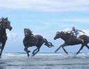 The Gallop
