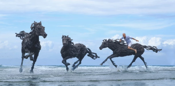 The Gallop