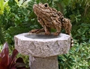 the guardian of the birdbath