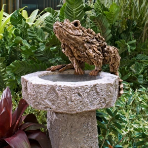 the guardian of the birdbath