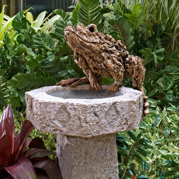 the guardian of the birdbath the guardian of the birdbath