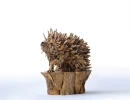 The Hedgehog