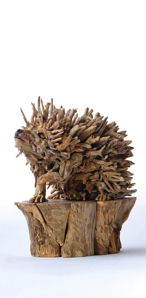 The Hedgehog
