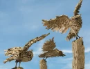 the owls
