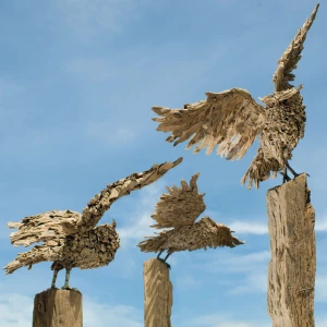 the owls
