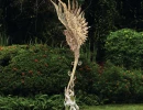 the rebirth of phoenix