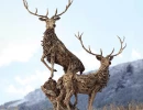 The Royal Stags
