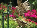 the thirsty humming birds