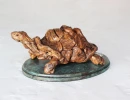 tortoise