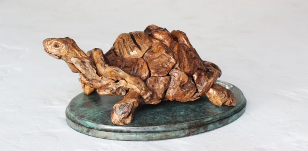 tortoise