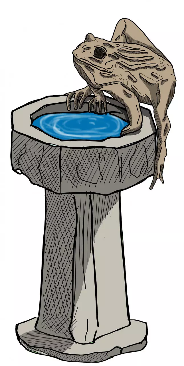 The Guardian of the Birdbath
