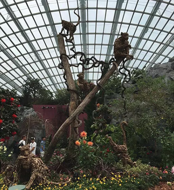 The monkeys on display in the Flower Dome