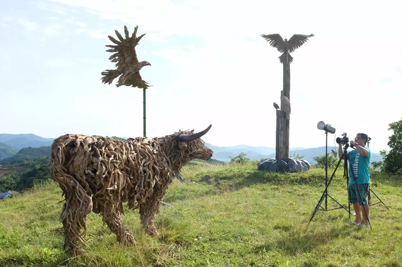 The Highland Bull Shoot