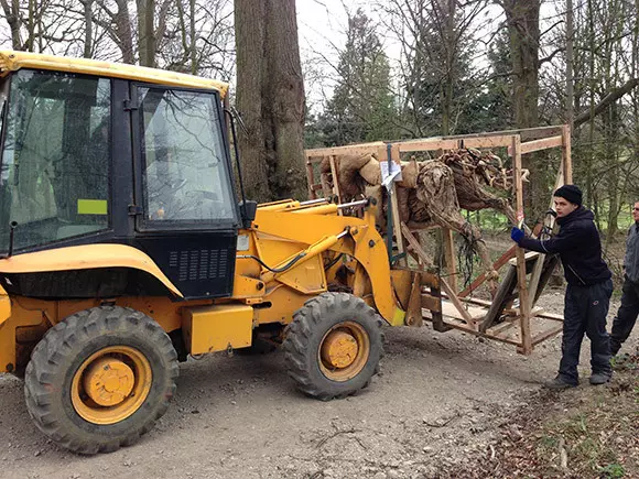 Rearing Stallion riding on JCB